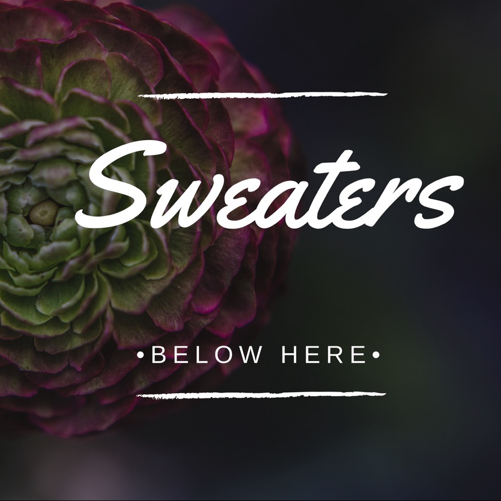 ⬇️ ALL SWEATERS BELOW THIS ⬇️